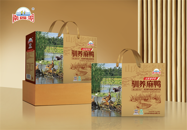馴養(yǎng)麻鴨